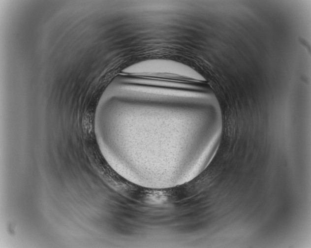 X0000100350091200806201551
