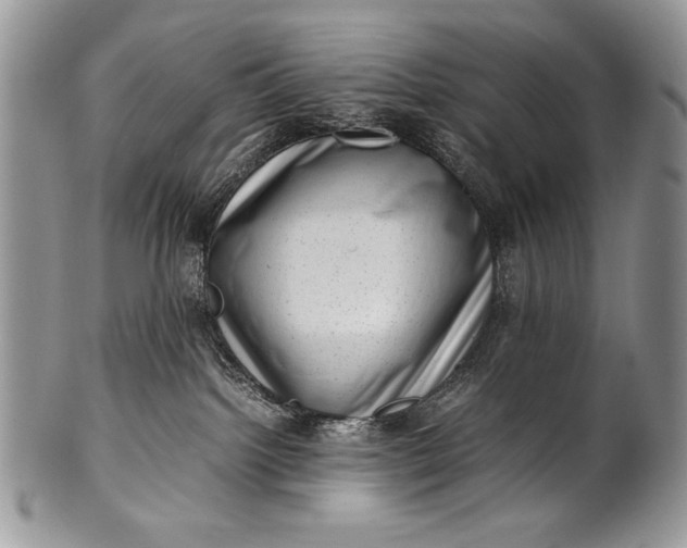 X0000100350092200806201551