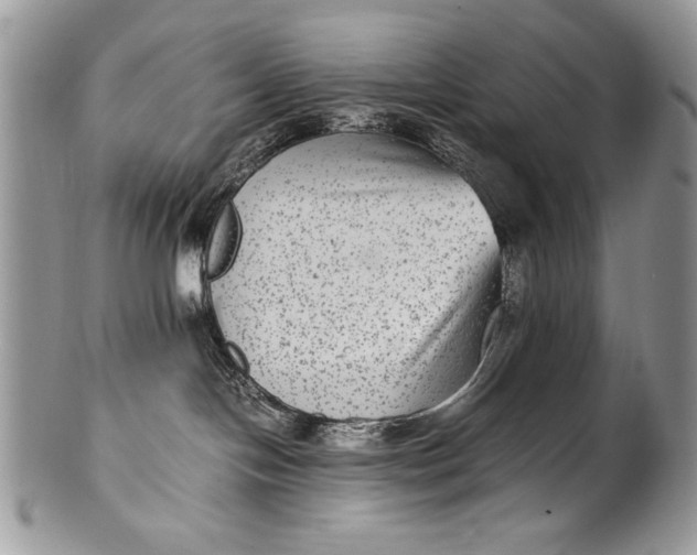 X0000100350094200806201551