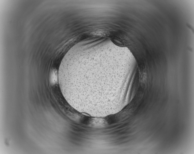 X0000100350095200806201551