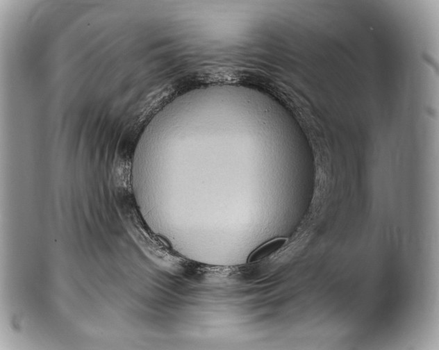 X0000100350096200806201551