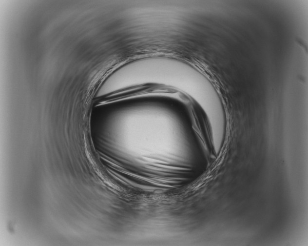X0000100350097200806201550