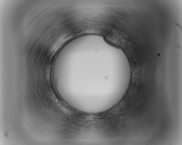 X0000100350098200806201550