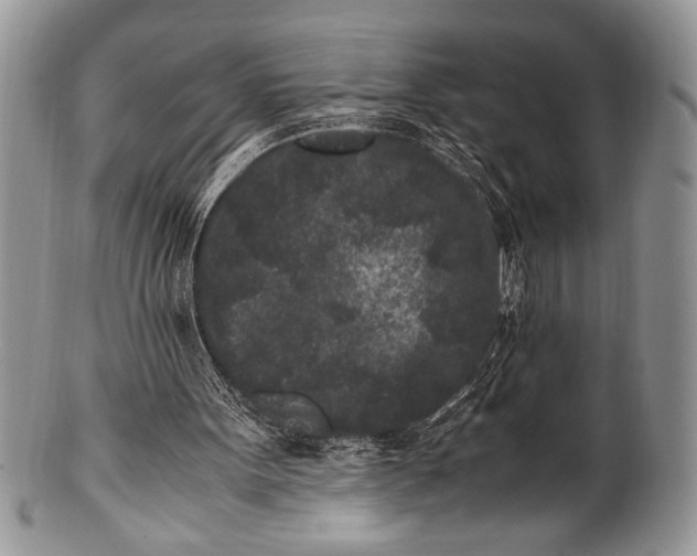 X0000100350099200806201550