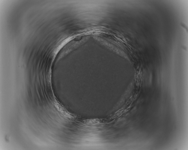 X0000100350100200806201550