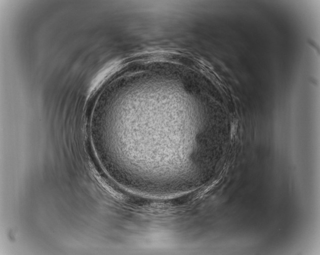 X0000100350101200806201550