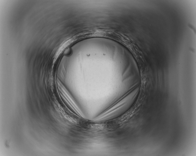 X0000100350102200806201550