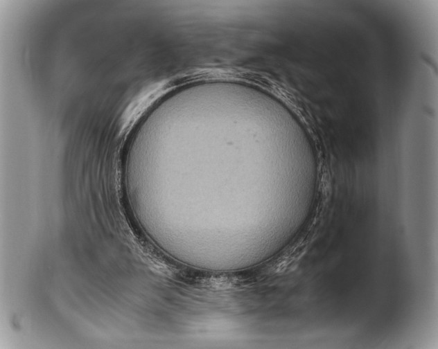 X0000100350103200806201550
