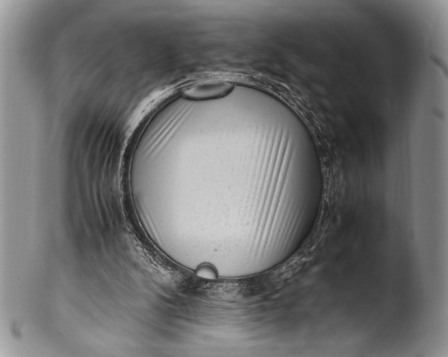 X0000100350104200806201550