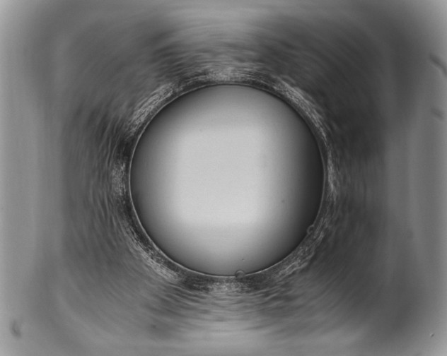 X0000100350105200806201550