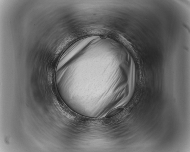 X0000100350106200806201550