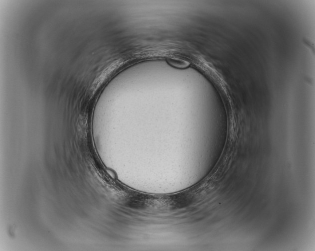 X0000100350107200806201550