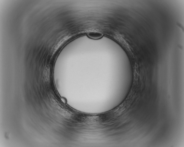 X0000100350108200806201550