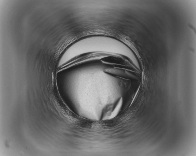 X0000100350109200806201550