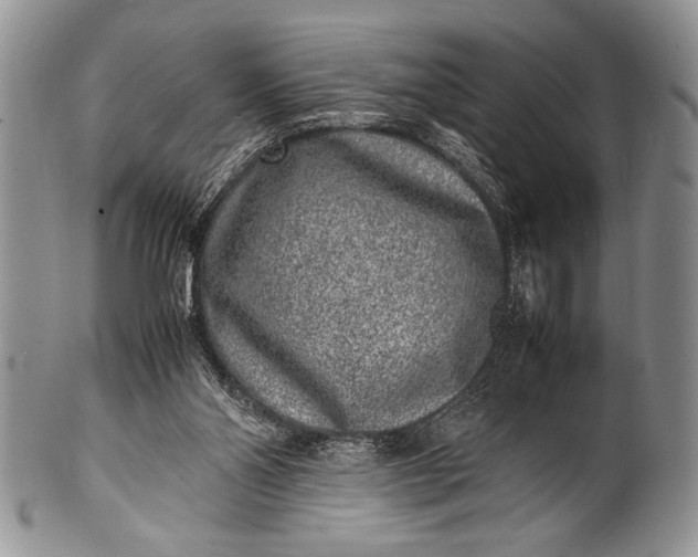 X0000100350110200806201550