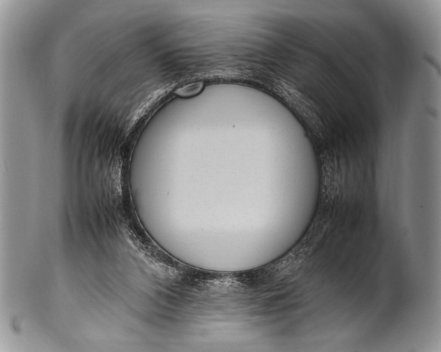 X0000100350112200806201550