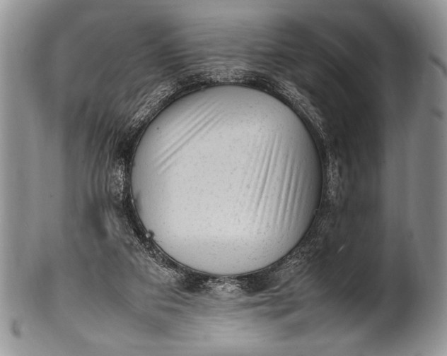 X0000100350113200806201550