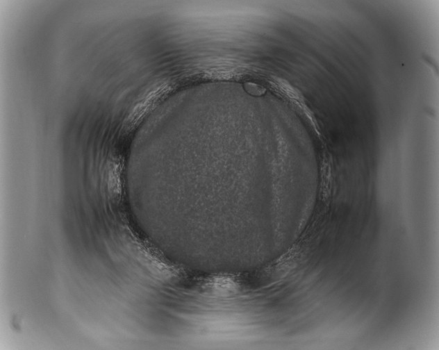 X0000100350114200806201550