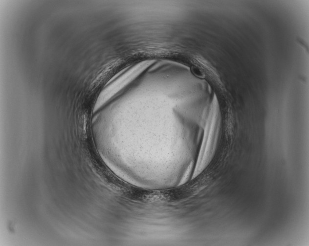 X0000100350115200806201550
