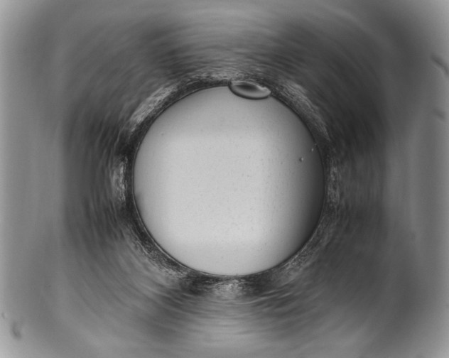X0000100350116200806201550