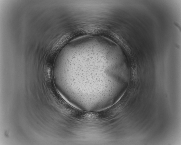X0000100350117200806201550