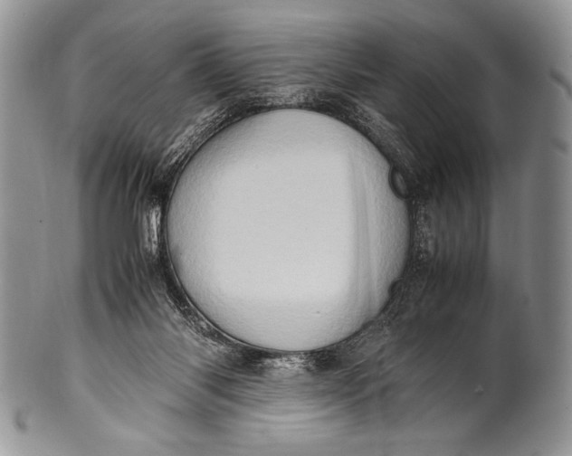 X0000100350118200806201550