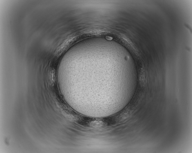 X0000100350119200806201550
