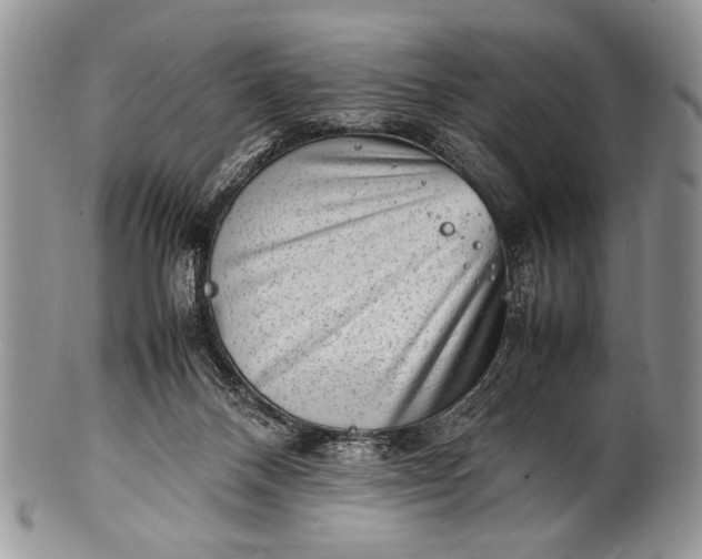 X0000100350120200806201550