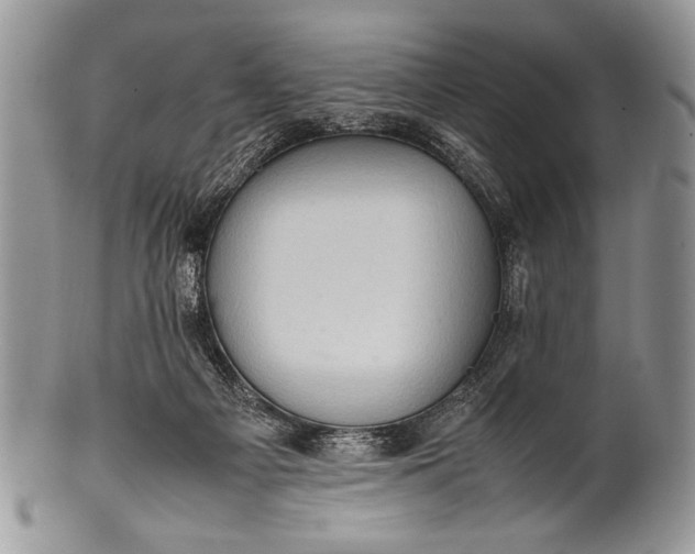 X0000100350121200806201550