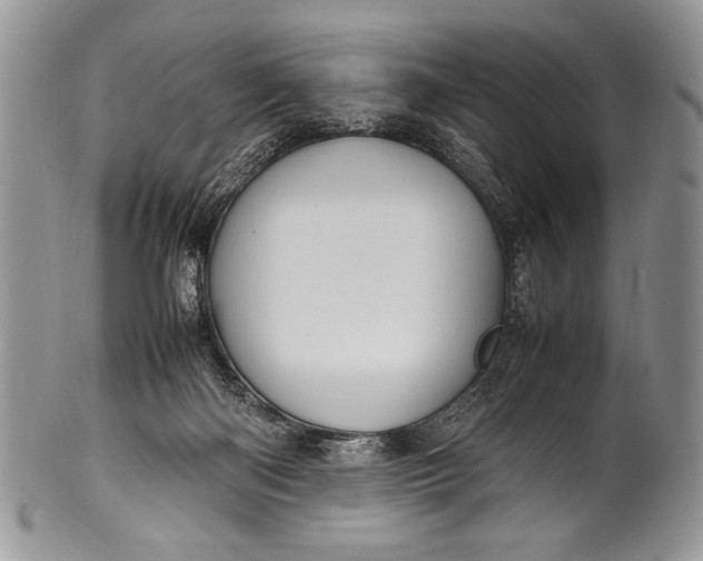 X0000100350122200806201550