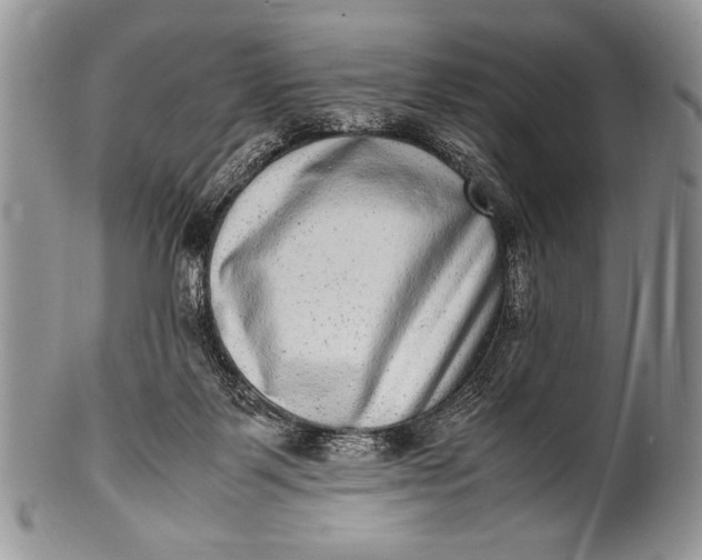 X0000100350123200806201550