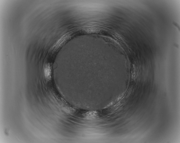 X0000100350124200806201550