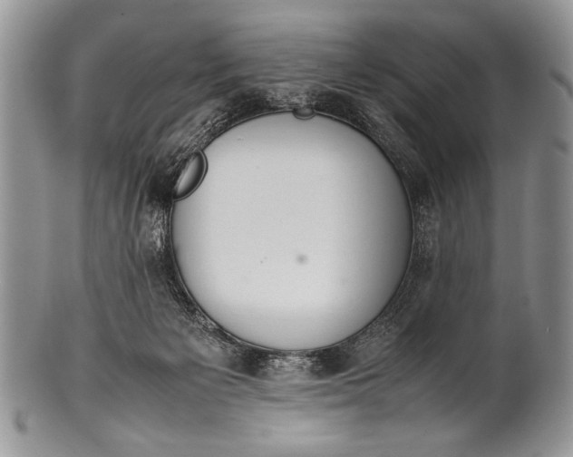 X0000100350125200806201550