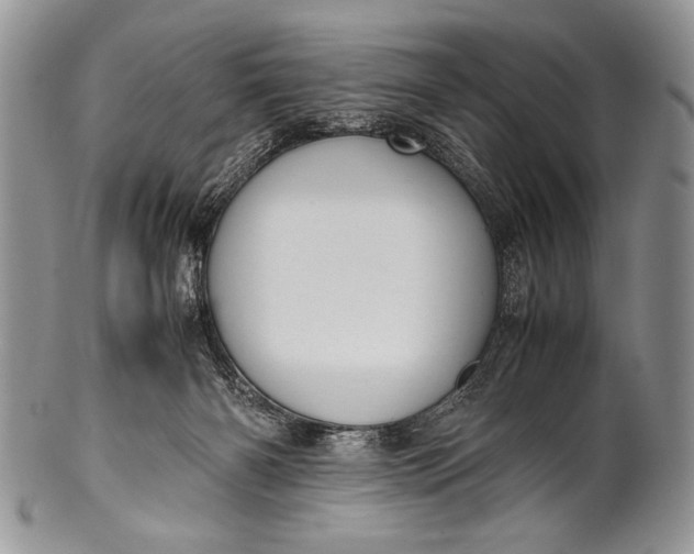 X0000100350126200806201550