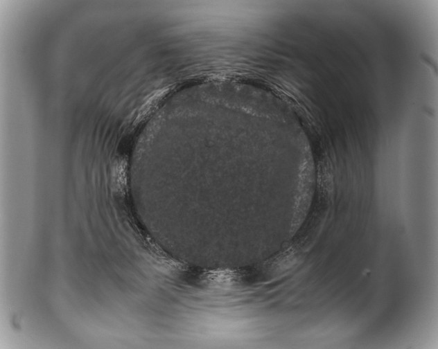X0000100350127200806201550