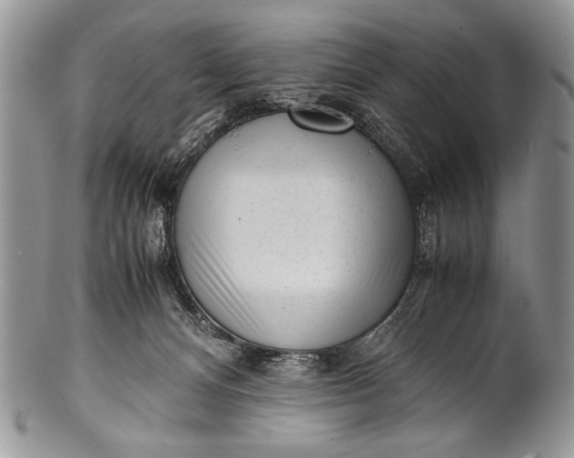X0000100350128200806201550