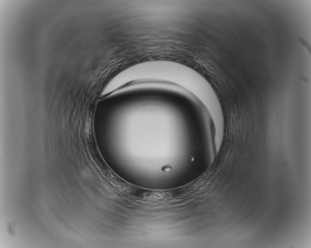 X0000100350129200806201550