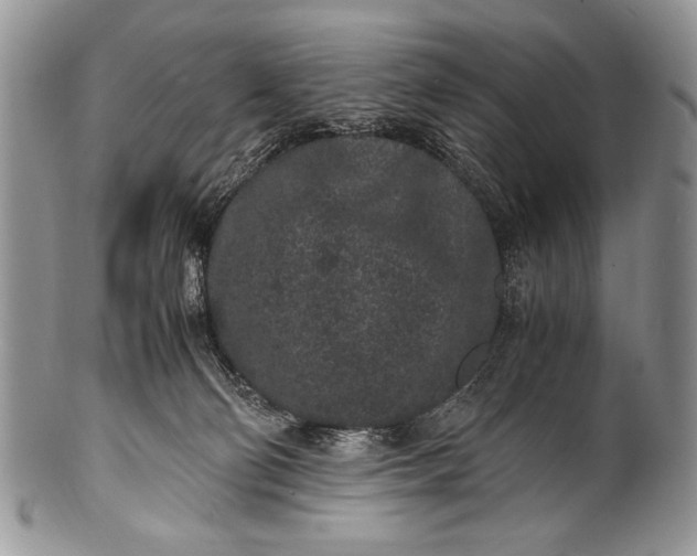 X0000100350130200806201550