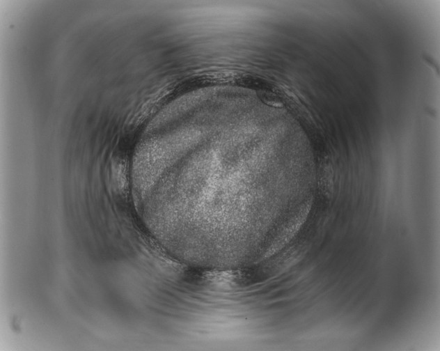 X0000100350131200806201550