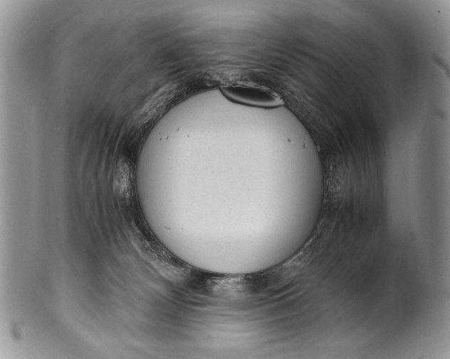 X0000100350132200806201550