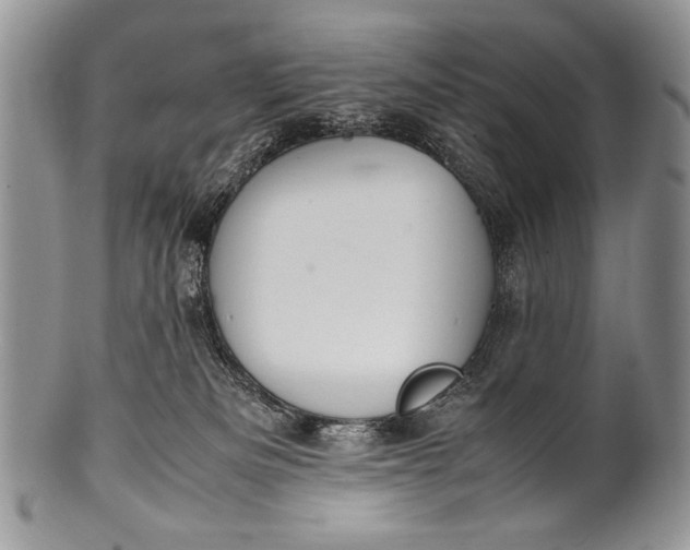 X0000100350133200806201550
