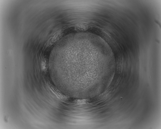X0000100350134200806201550