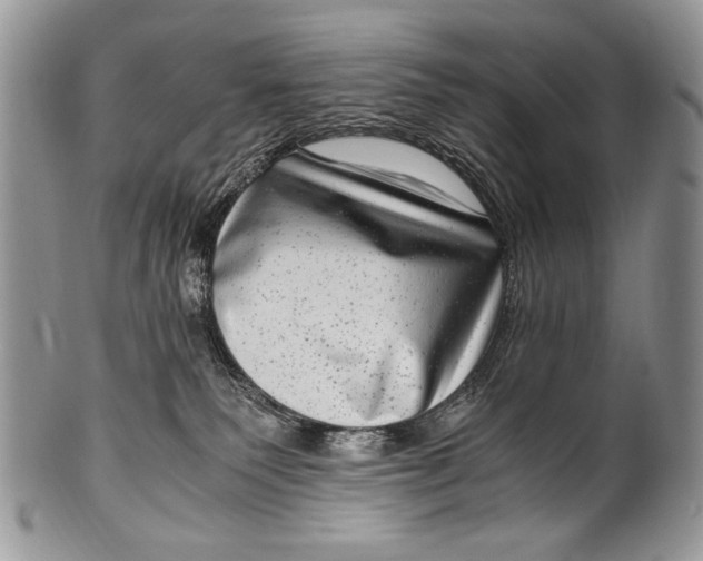 X0000100350135200806201550
