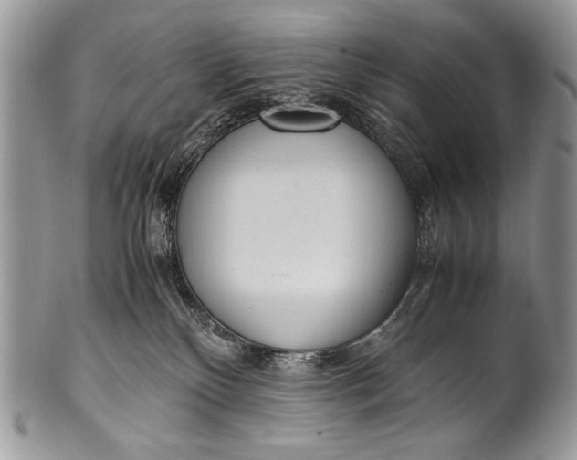 X0000100350136200806201550