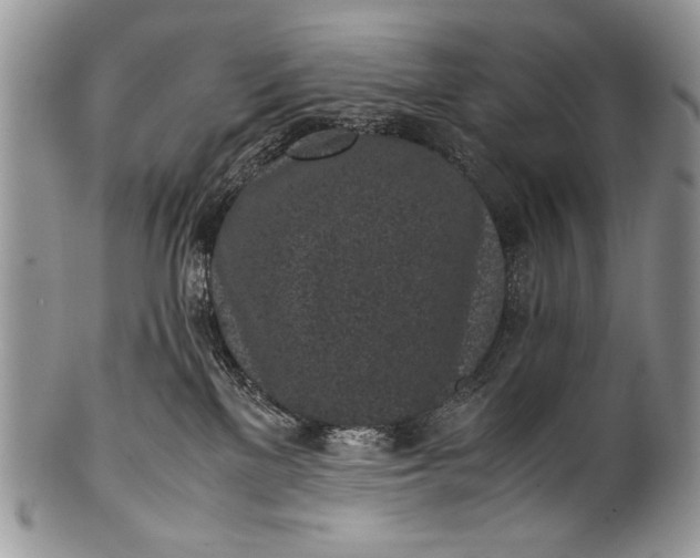 X0000100350137200806201550