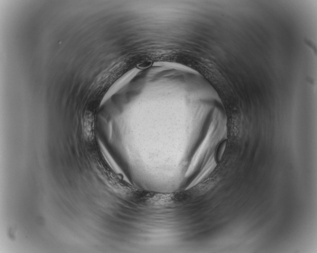X0000100350138200806201550