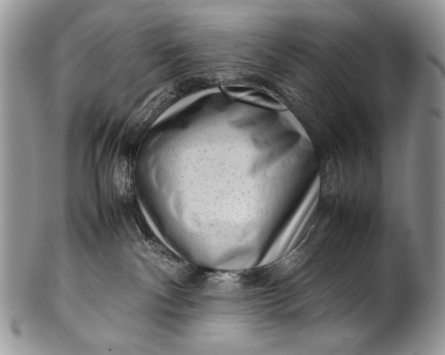 X0000100350140200806201550
