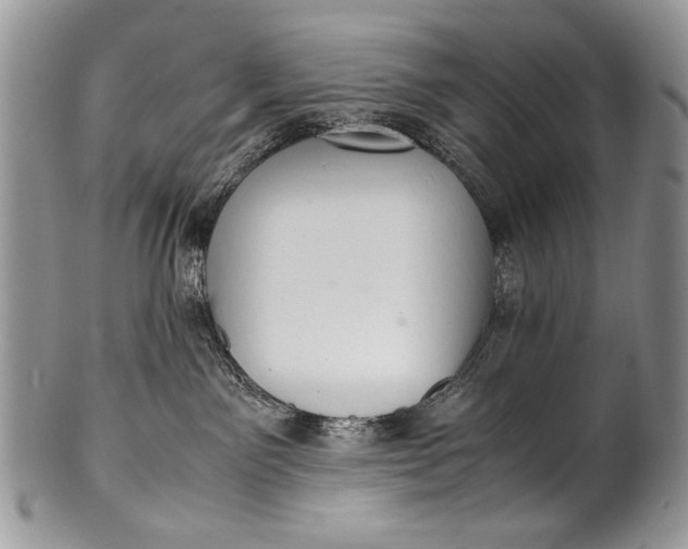 X0000100350141200806201550