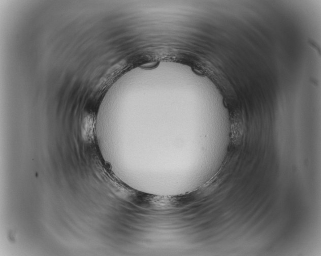 X0000100350142200806201550