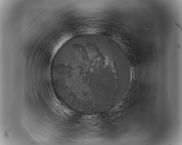 X0000100350147200806201549